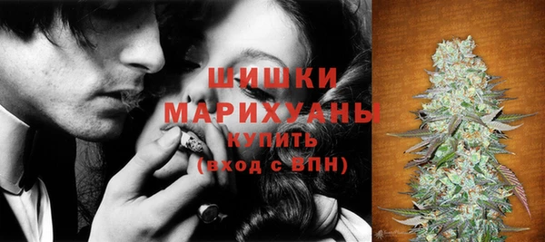 apvp Аркадак