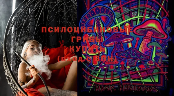 apvp Аркадак