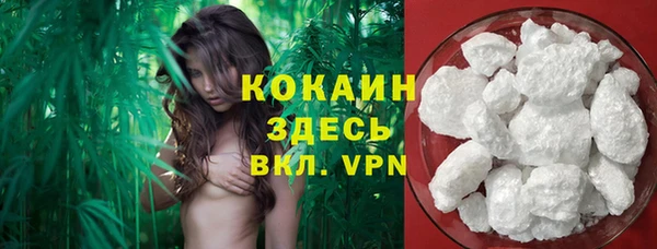 apvp Аркадак