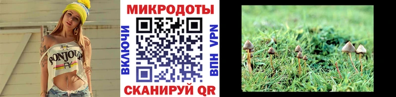 Галлюциногенные грибы MAGIC MUSHROOMS Мытищи