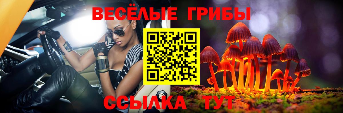 Мытищи  Галлюциногенные грибы прущие грибы  Вход с VPN  Галлюциногенные грибы прущие грибы 