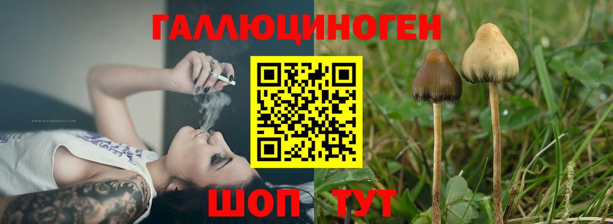 Псилоцибиновые грибы MAGIC MUSHROOMS Мытищи