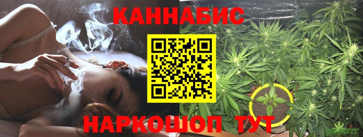 Мытищи  Бошки марихуана White Widow  Марихуана OG Kush  Вход с VPN  Канабис VHQ 